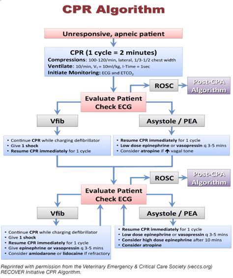 What Does Mean Cpr - What Does Mean