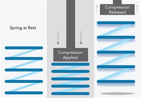 Tổng hợp compression là gì | Sen Tây Hồ