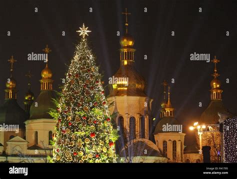 Kiev, Ukraine. 19th Dec, 2015. The main Ukrainian Christmas Tree has ...