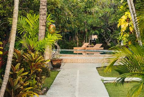 6 Tropical Landscape Design Ideas to Upgrade Your Lawn