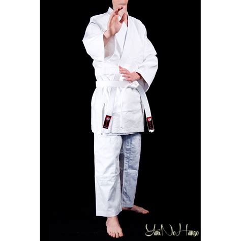 AIKDO GI PROFESSIONAL 2.0 for sale on katanamart.co.uk