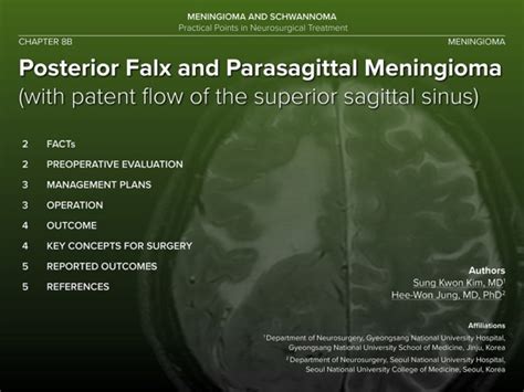 ‎Posterior Falx and Parasagittal Meningioma on Apple Books