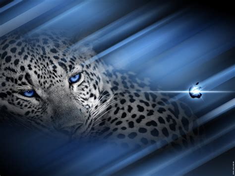 Mac Os X Leopard Wallpapers - WallpaperSafari