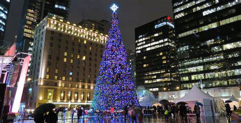 Taller than Rockefeller: Vancouver's official Christmas Tree a beacon ...