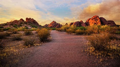 Sunset at Papago Park in Phoenix Arizona Pyrography by Juliana Swenson ...