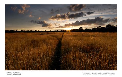 Sunset over Harborough hay field (II) · David Kennard Photography