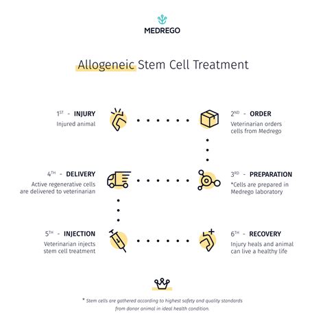 Autologous vs Allogeneic Stem Cell Therapy For Animals