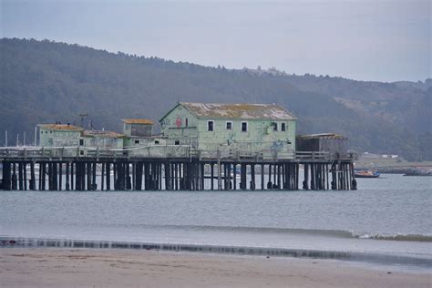 Mavericks -- Half Moon Bay | Half moon, Half moon bay, Northern california