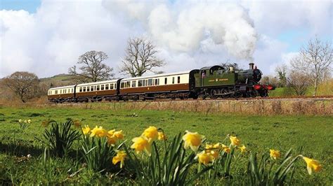 South Devon Railway marks 150 years since line opened - BBC News