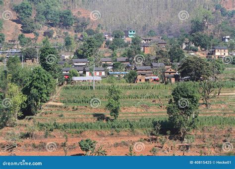 Farming in Nepal stock image. Image of asia, growing - 40815425