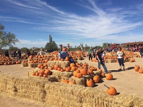 List of 2017 Pumpkin Patches & Fall Festivals Around Arizona