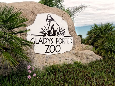 Gladys Porter Zoo Brownsville TX | Rio Grande Valley Content Hub