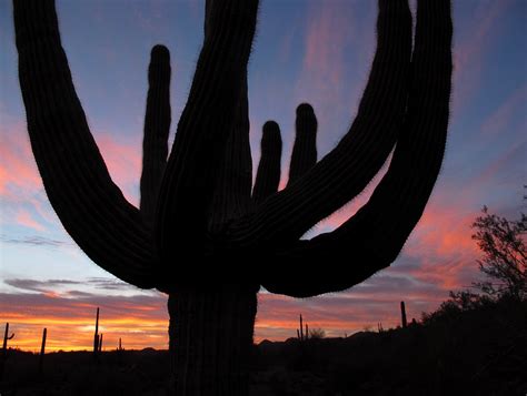 Elevation of Vistancia, Peoria, AZ, USA - Topographic Map - Altitude Map