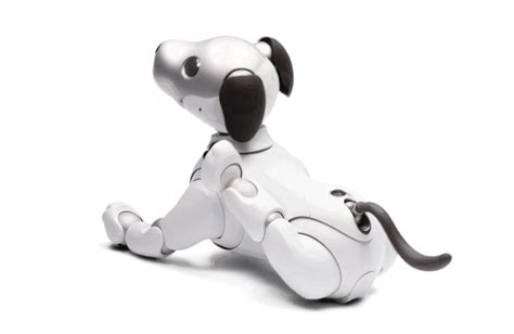 sony’s new chocolate aibo will act as watchdog over your home | Robos, Anos 80, Eletronicos