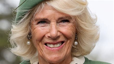 Camilla Parker Bowles Canceled A Major Appearance Amid The Queen's Health Concerns