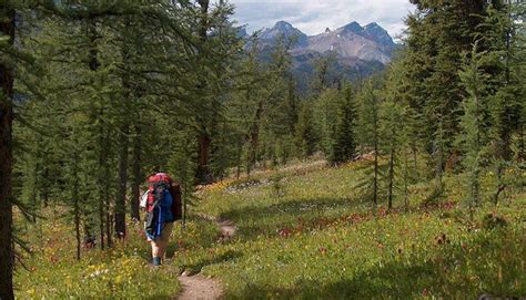 Detailed Banff, Alberta Hikes | Banff National Park