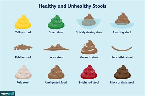 poop stool color changes color chart and meaning healthy concept stock - the dog poop color ...