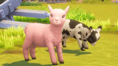 How to get goats and sheep in The Sims 4 Horse Ranch Expansion