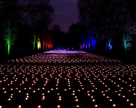 Brooklyn Botanic Garden announces winter Lightscape exhibit | amNewYork