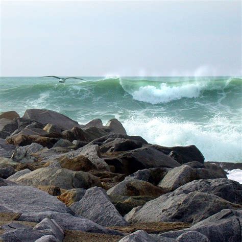 Ventura jetty, wave and seagull. ©Pamela Heckel | Ventura county, Ventura, California