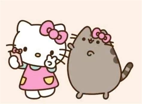 Pusheen and Hello Kitty