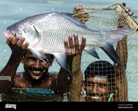 Fish farm bangladesh hi-res stock photography and images - Alamy