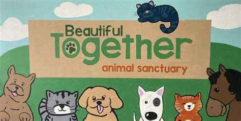 Latest Sanctuary Update - Beautiful Together Animal Sanctuary