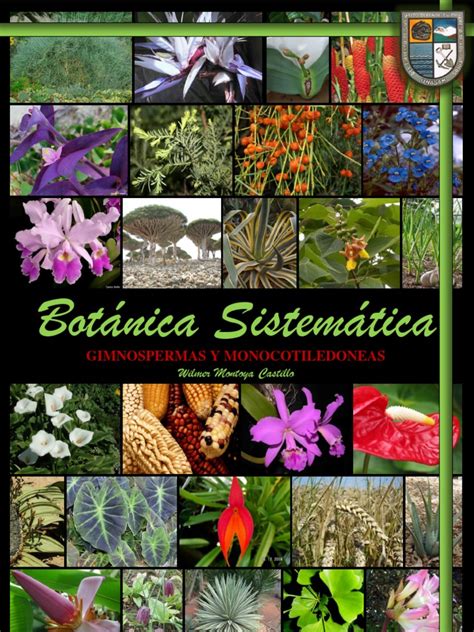 Manual de Botanica Sistematica | Eucariotas | Ciencias de la tierra y de la vida | Prueba ...