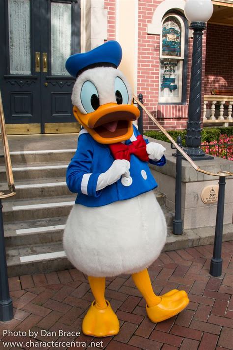 Donald Duck at Disney Character Central (With images) | Donald duck ...