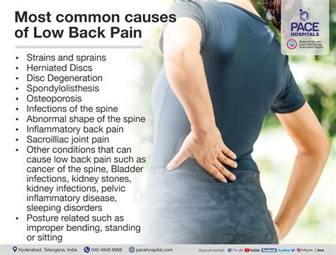 An overview of Low Back Pain | Causes, Risk Factors and Treatment