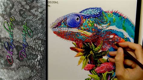 Realistic Chameleon Drawing