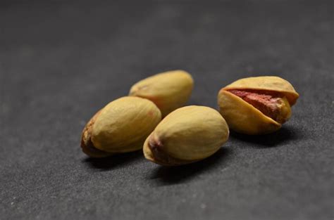 Free picture: pistachio, food, seed