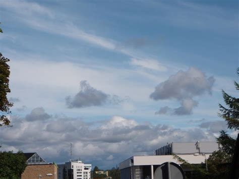 Cumulus mediocris | Clouds, Cloud atlas, Weather cloud