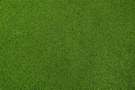 Grass Texture Seamless Material Map | lupon.gov.ph