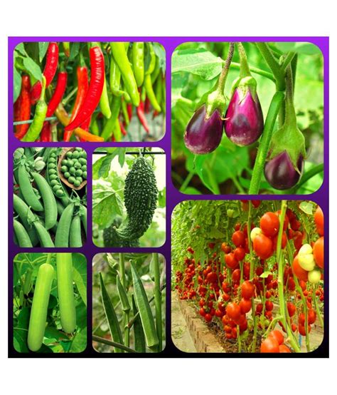 Buy Vegetable Seeds combo - 7 Variety - 65 + seed with Instruction Manual Online at Best Price ...