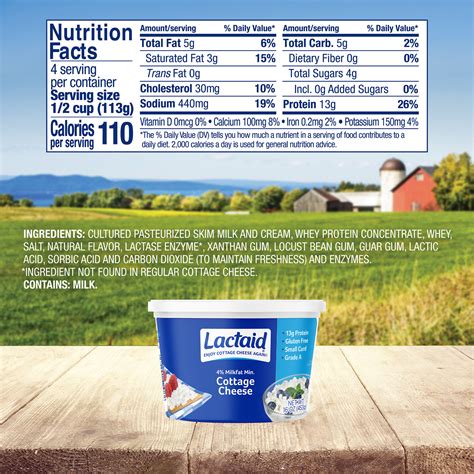 Lactaid Cottage Cheese, 16 oz - Walmart.com