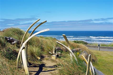 This Eerie Whale Bone Alley in Siberia Was Erected By Natives a Long ...