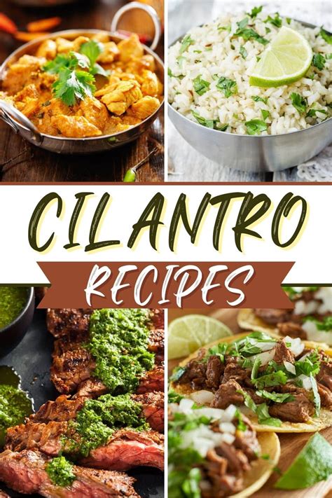 25 Fresh Cilantro Recipes With So Much Flavor - Insanely Good