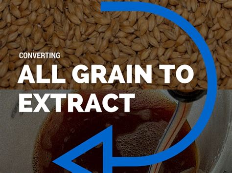 Malt Extract Homebrew Recipes | Bryont Blog