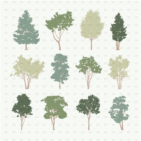 Vector Trees | AI PNG | Architecture | Studio Alternativi