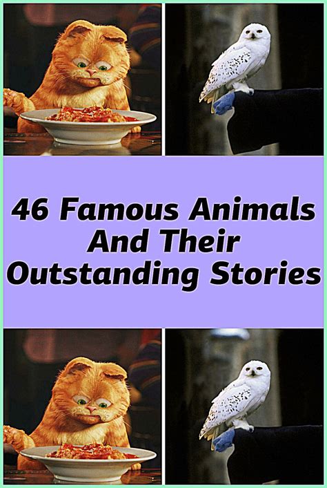 46 famous animals and their outstanding stories – Artofit