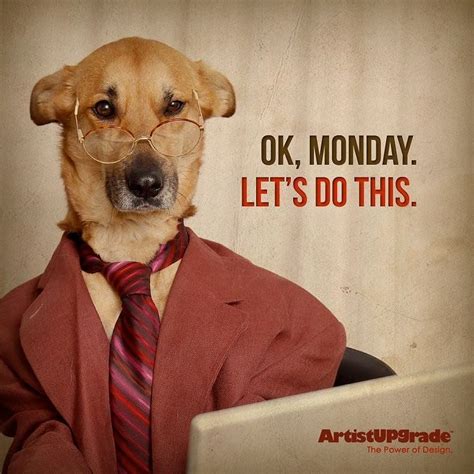 Happy Monday everybody! I need some spectacles like these | First day of work, Work quotes ...