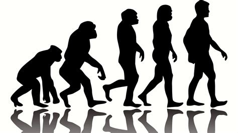 The Evolution of the Workforce - Jobficient blog