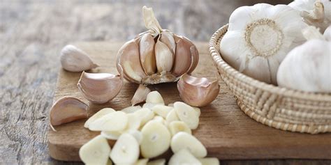 Sprouting Garlic Indoors — Bob's Market and Greenhouses