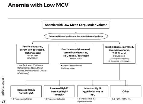 Low Mcv And Mch