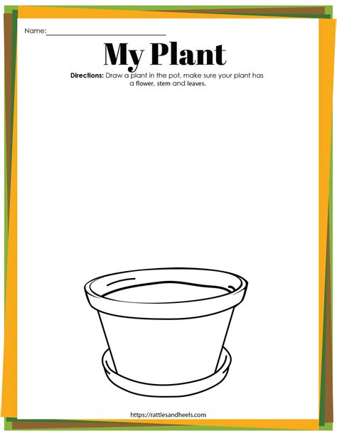 Free Plant Life Cycle Worksheets