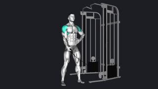 Dumbbell Lateral Raise - how to do, Alternatives, gif & More