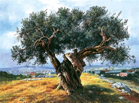 Olive tree in Filopappou, Athens, painting by Elidon Landscape Photos ...