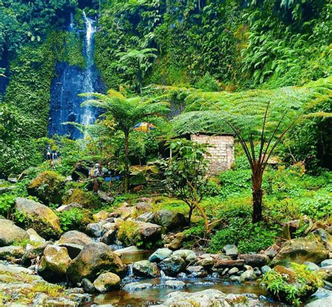 √ Wisata Alam Curug Nangka Di Bogor Jawa Barat | Wisatalova