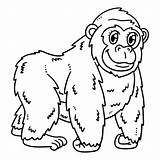 Premium Vector  Baby gorilla Isolated coloring Page For Kids sketch template